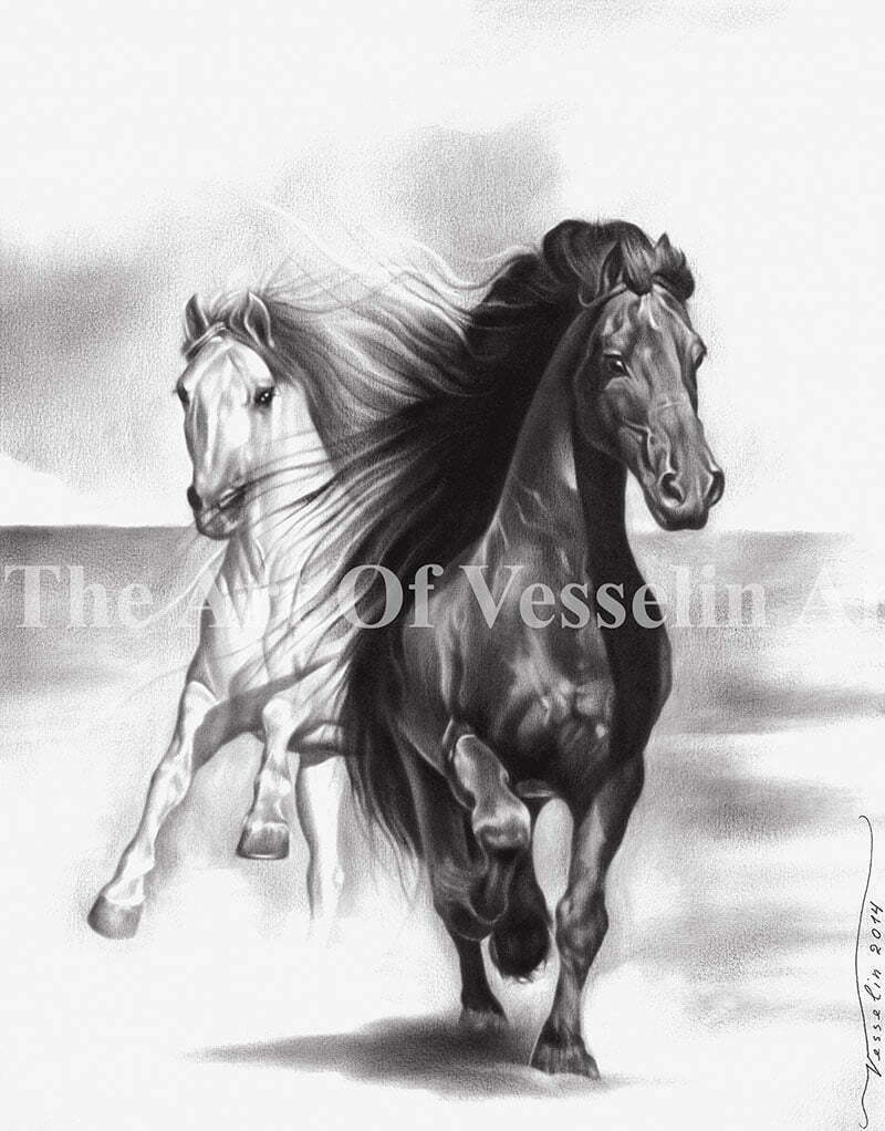 A black & white oil painting representing two very beautiful wild horses with flowing manes running toward us, the viewers. The first horse is in black while the other a little behind it is in white.